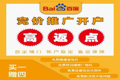 SEM推广案例：揭秘高ROI背后的策略与实践